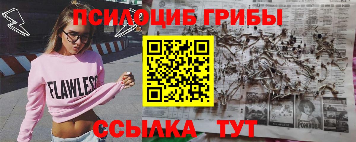 ГАШ Тулун