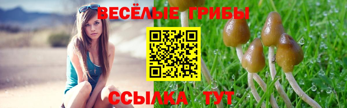 Тулун  Псилоцибиновые грибы Psilocybine cubensis  Вход с VPN  Псилоцибиновые грибы мицелий 